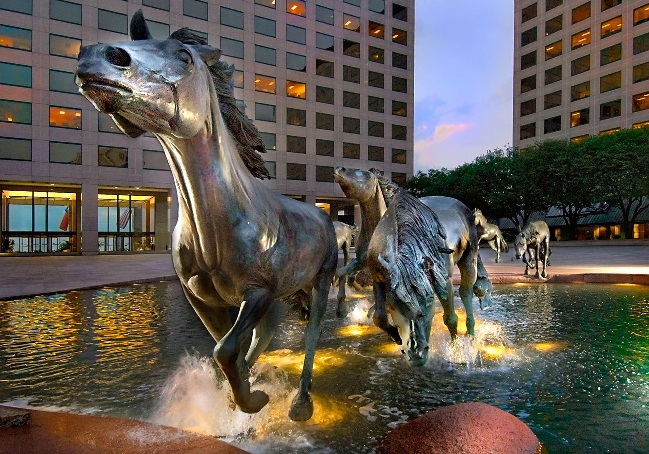 Hilton Garden Inn Dfw Airport South Irving Esterno foto